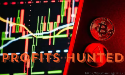 profits hunted